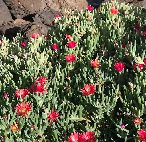 Casa Serenidad Lejlighed *