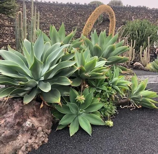 Apartament Casa Serenidad *